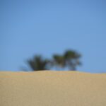 Saudi Arabia Unveils Game-Changing Visa Update for UK passport holders. Find Out How You Can Get Instant Approval Now!”